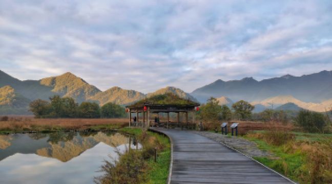 大九湖国家湿地公园-观景台