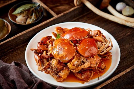 京川野菌王(总店)