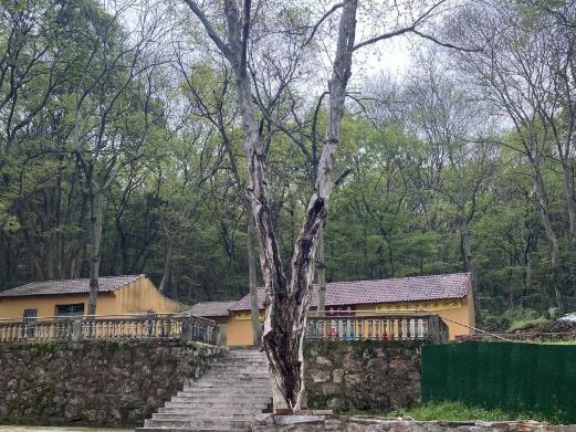 虞山公园