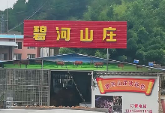 碧河山庄美食图片