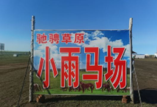 驰骋草原小雨马场景点图片