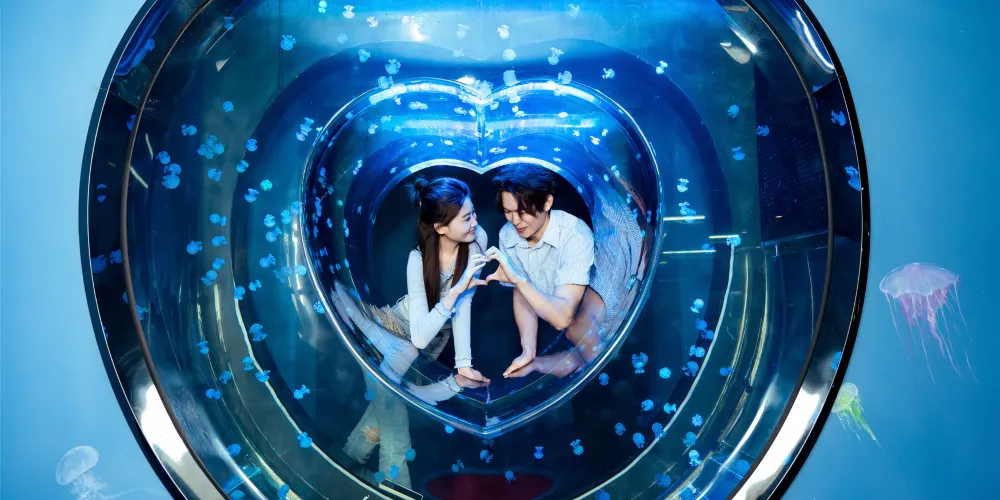 【深海奇幻參觀攻略2026】門票優惠、開放時間及交通地址一覽 - 永安旅遊