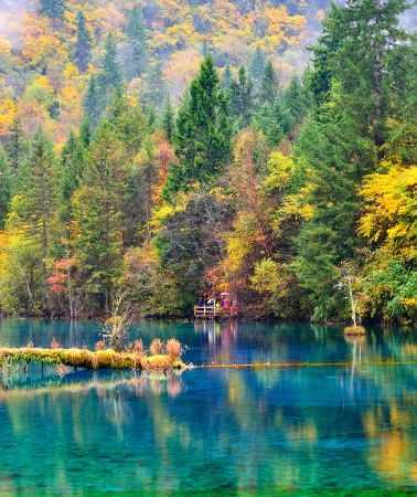 3D2N•Jiuzhaigou+Huanglong- Round-trip high-speed train tickets included. Adjustable travel days, discount available on inquiry