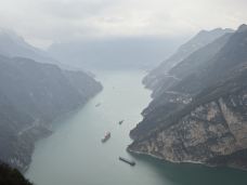 长江-宜昌-岱山香橙