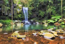 天宝林山国家公园景点图片