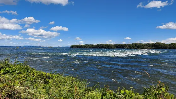激流島公園