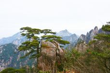 北海景区-黄山