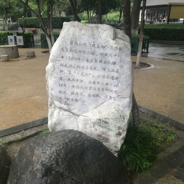 莲湖公园旅行图片 4