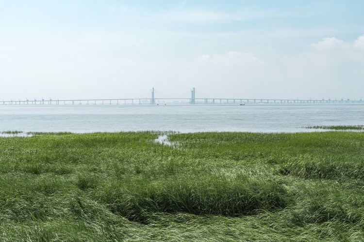 滨海公园