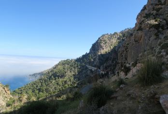 银川宁夏贺兰山国家森林公园+贺兰山岩画【私家团车费/两人起】【[亮点一]当地专业司机兼向导服务，上门接送，行程可以自由选，方便你的决定】