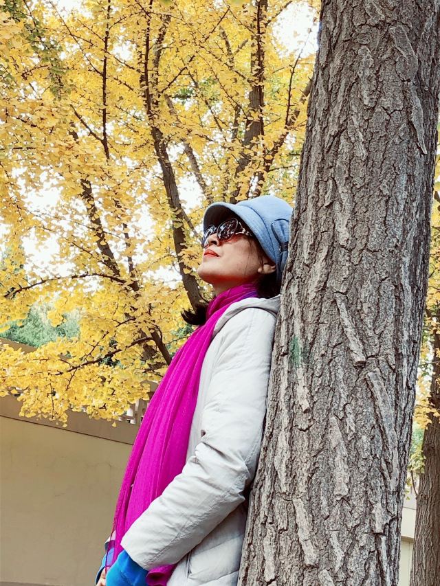 玉渊潭公园钓鱼台银杏大道旅行图片 5