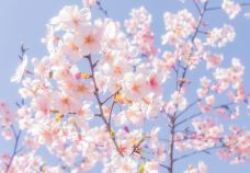 宁波植物园-宁波-718_