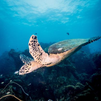 泰国普吉岛7日5晚跟团游