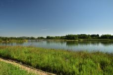 龙泉湖湿地-石家庄