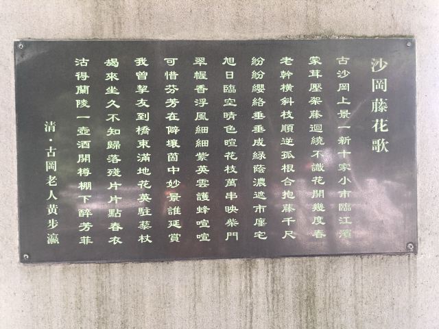古藤园旅行图片 11