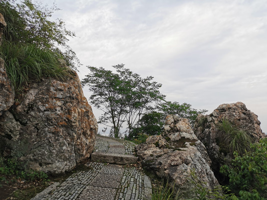 杭州登山线路之二十：东岳庙-美人峰-龙门山-天竺山-棋盘山-天马山-吉庆山-中国茶叶博物馆