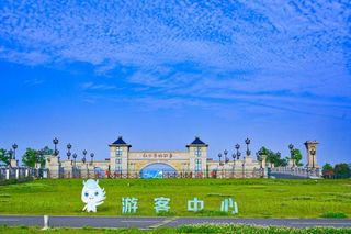 白马湖向日葵的故事 :田园里的诗和远方