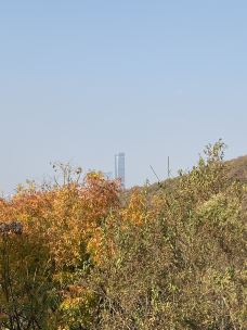 圌山-镇江-cparissh