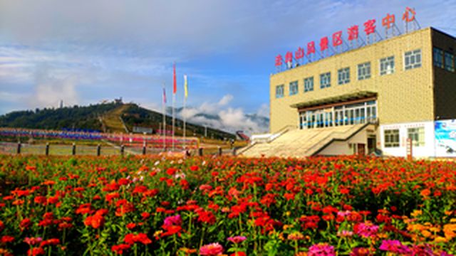 法台山景区入园免门票啦,缤纷夏日消暑福利,快来法台山景区清凉一夏。