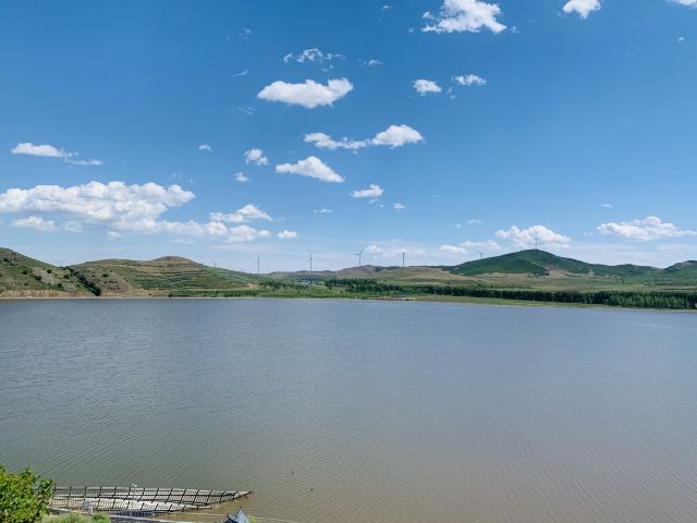 呼市回民区防风林公园旅行图片 7