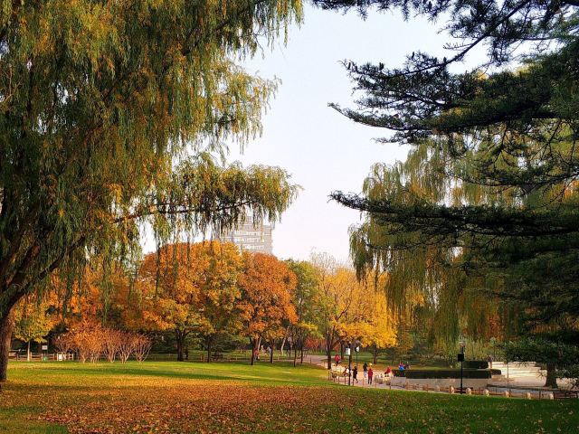 人定湖公园旅行图片 5