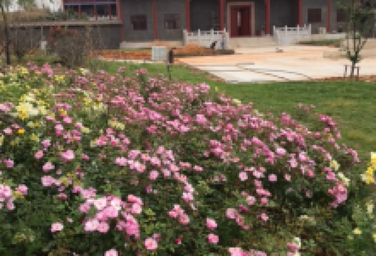 欧潭文化园-法界禅寺景点图片