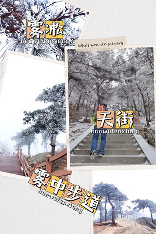 揭开山顶的雾纱，看蒙山雾中的美景。