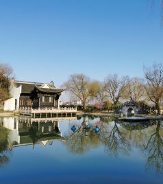 南湖区游记图文-嘉兴2021年初春：梅花洲-白坟墩遗址-新篁太平寺-植物园行迹