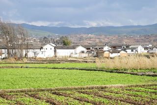 四进云南(大理之二,骑游沙溪乡村)