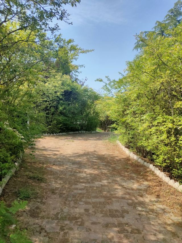 秦咸阳城咸阳宫国家考古遗址公园旅行图片 14