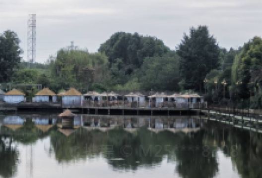 龙港公园景点图片