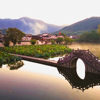 黄山市+婺源+千岛湖景区6日5晚跟团游