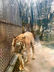 南昌动物园-南昌