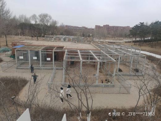 桥北动物园