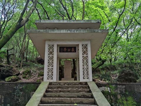 Gallery 2