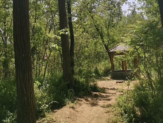 白羊山风景区