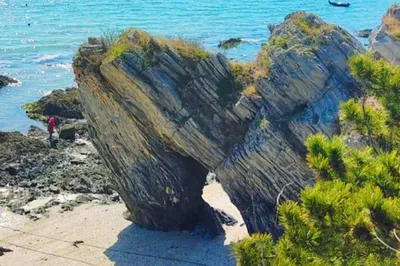 恐龙探海