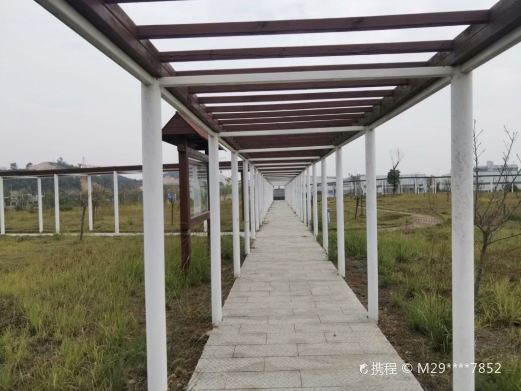 矿山公园