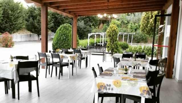 Il Magnolia餐厅图片