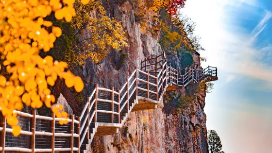 齊魯第一大佛青銅山大峽谷