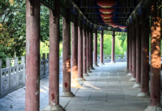 楼观台国家森林公园景点图片