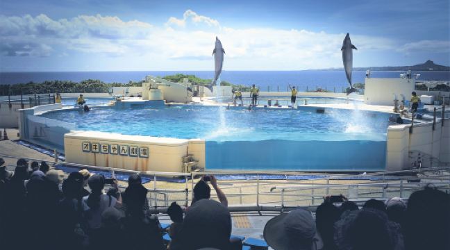 海洋博公园海豚表演剧场