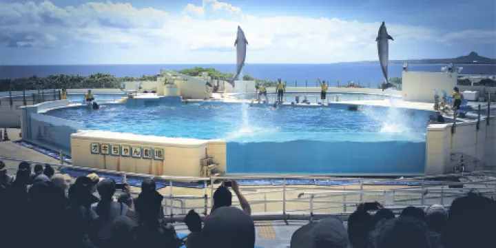 海洋博公園海豚表演劇場