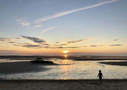 周末的光合作用-打卡波士顿附近的海湾与水景