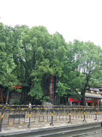 开化游记图片] 开化根雕艺术之根宫佛国游