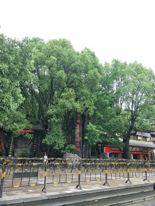 开化根雕艺术之根宫佛国游