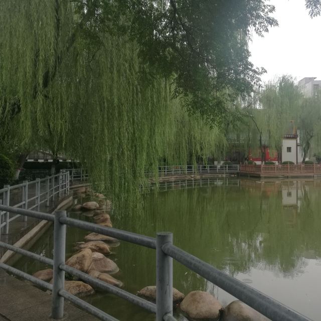 莲湖公园旅行图片 7