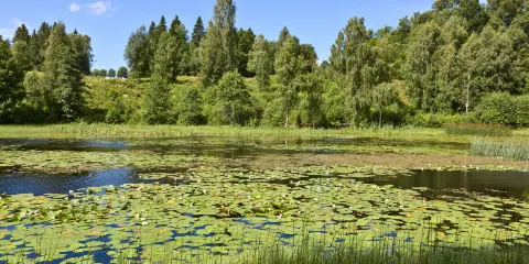 鄭州國家森林公園