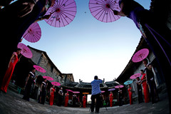 苍南游记图片] 二天打卡浙江最南小镇，滩涂堪比霞浦，是拍鸟天堂