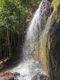 福建龙栖山国家级自然保护区-将乐-YoYo_6L4Q4G2E